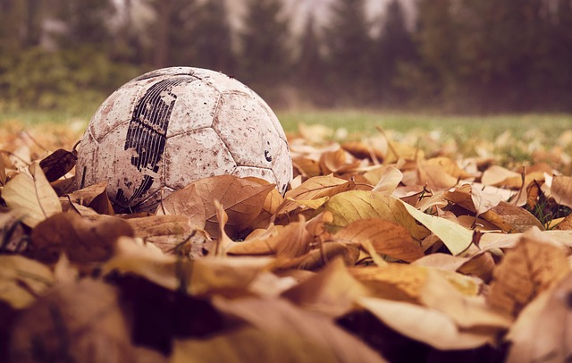 Futbol Takımlarında Forma Numaraları Nasıl Belirlenir? Futbol Takımlarında Forma Numaraları Nasıl Belirlenir?