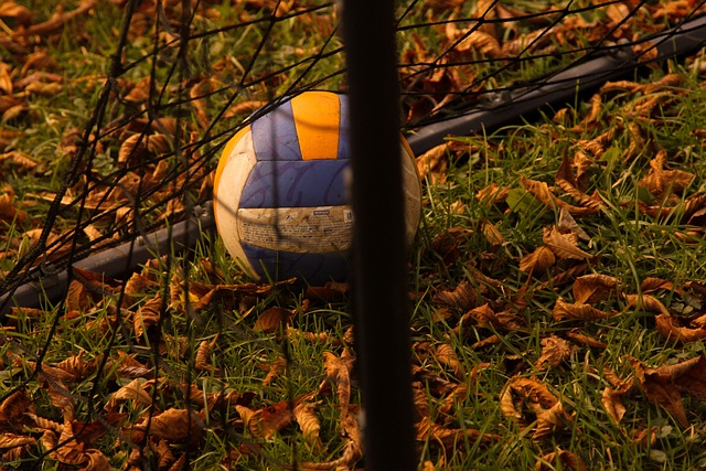 Voleybolda 'Takım Kaptanı' Nasıl Seçilir? Voleybolda 'Takım Kaptanı' Nasıl Seçilir?